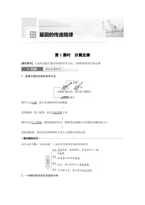 2024届高考一轮复习生物教案(苏教版)：分离定律