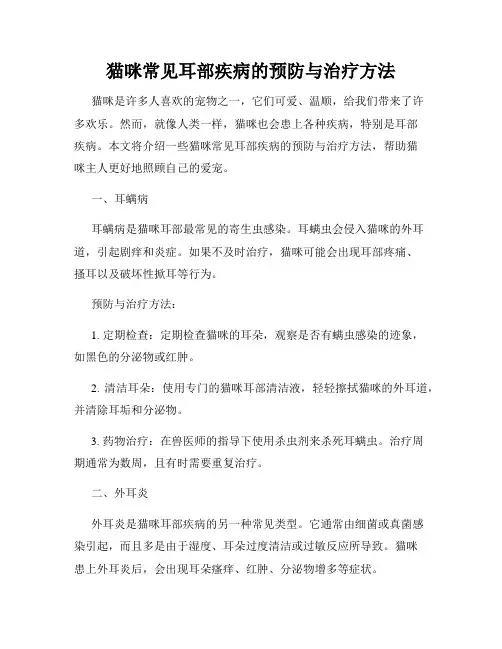 猫咪常见耳部疾病的预防与治疗方法