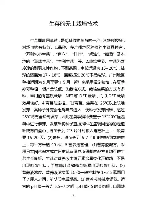 生菜的无土栽培技术