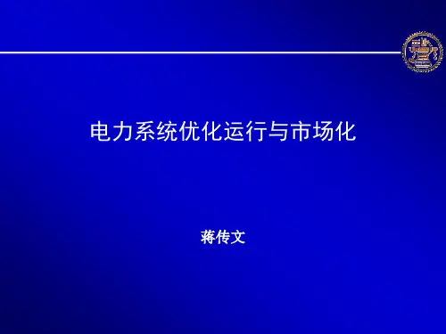 电力市场第一章 概述