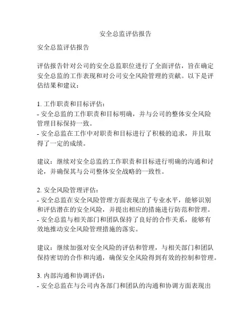 安全总监评估报告