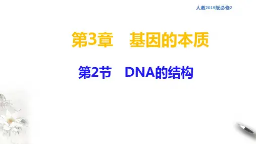 高中生物第二册 3 2 DNA的结构 课件-遗传与进化 (共27张)