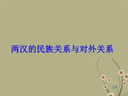 两汉的民族关系与对外关系 人教版