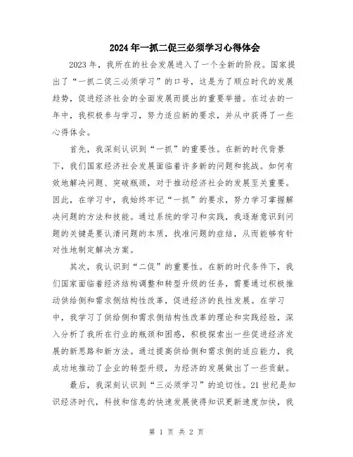 2024年一抓二促三必须学习心得体会