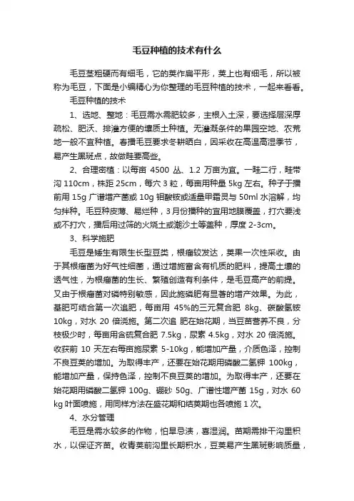 毛豆种植的技术有什么