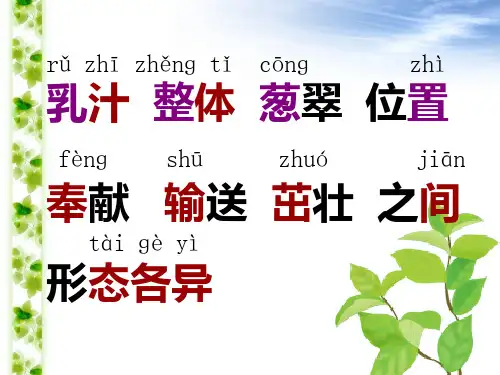 做一片美丽的叶子精品PPT课件