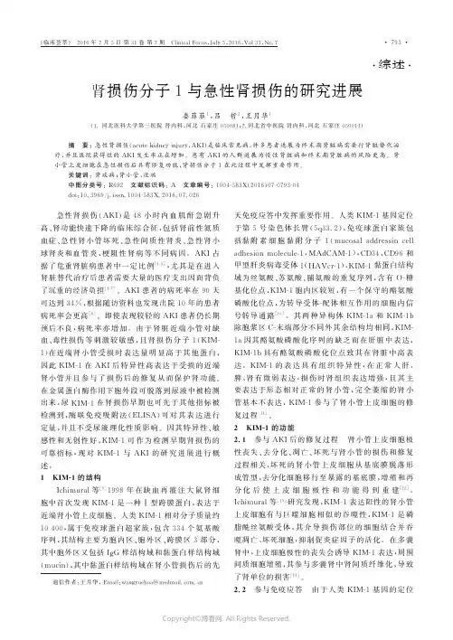 肾损伤分子1与急性肾损伤的研究进展