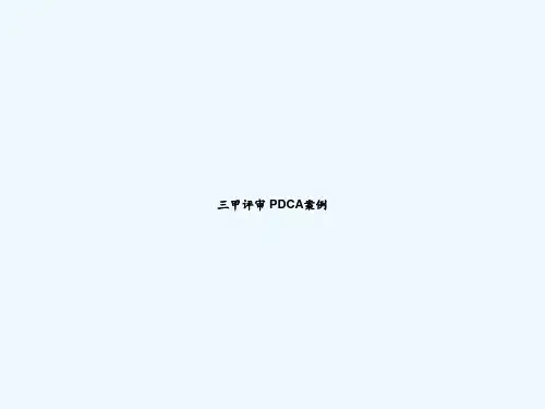 三甲评审 PDCA案例 PPT