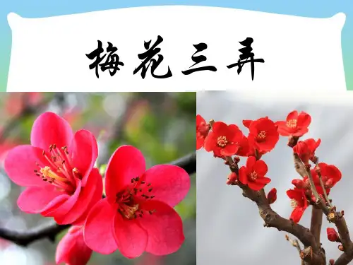 新人教版五年级音乐下册：《梅花三弄》课件3.ppt