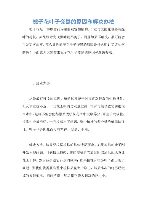 栀子花叶子变黑的原因和解决办法