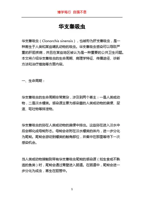 华支睾吸虫