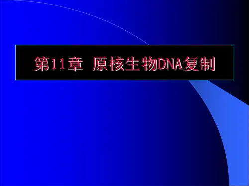 27-第11章 基因组的复制-原核生物