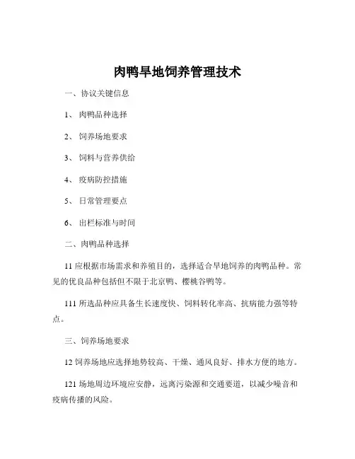肉鸭旱地饲养管理技术