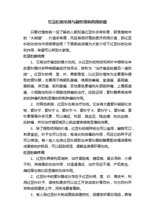 红豆杉的功效与副作用和药用价值
