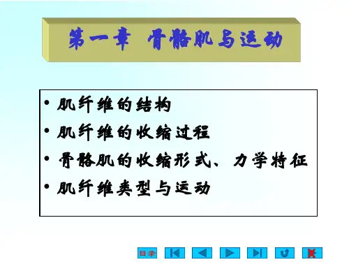 01骨骼肌与运动