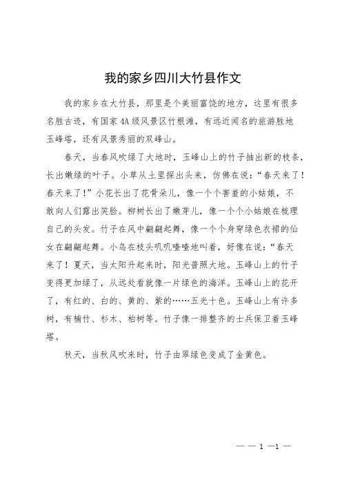 我的家乡四川大竹县作文