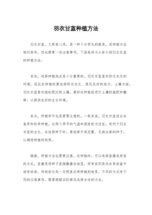 羽衣甘蓝种植方法