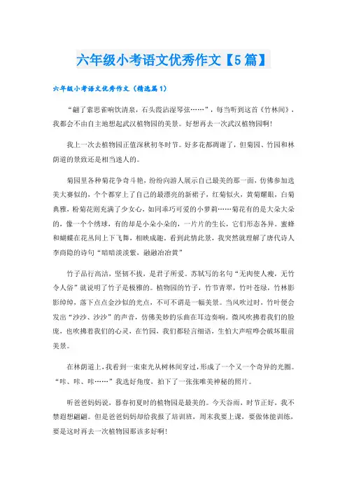 六年级小考语文优秀作文【5篇】