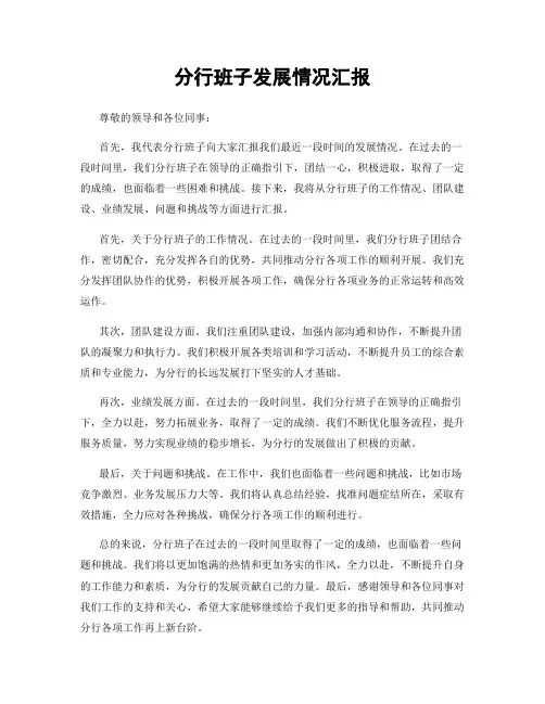 分行班子发展情况汇报