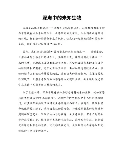 深海中的未知生物