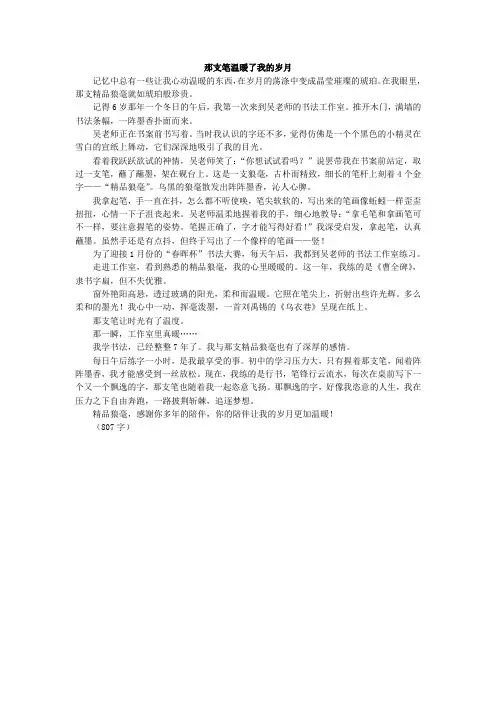 优秀作文：那支笔温暖了我的岁月