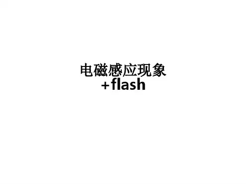 电磁感应现象flash课件