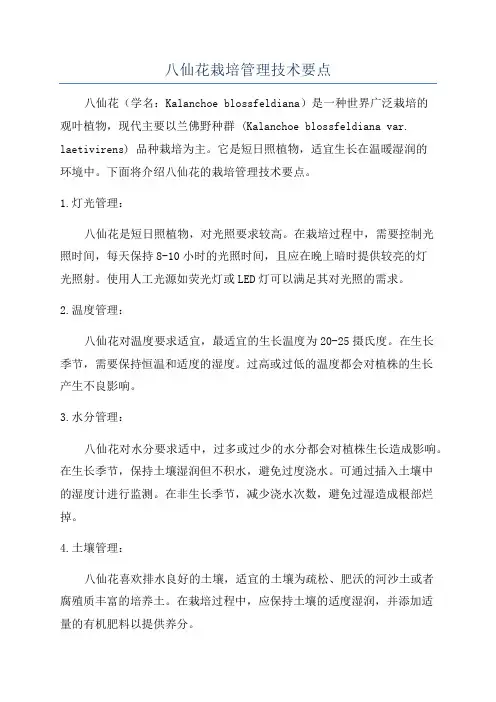 八仙花栽培管理技术要点