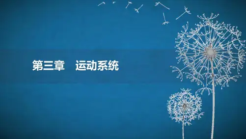 02教师资格体育知识与能力(高中)运动解剖学第三章下(0508讲)