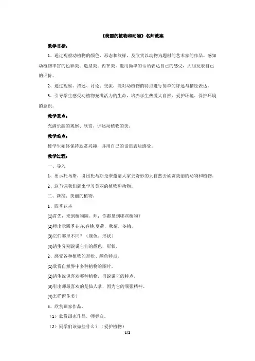 《美丽的植物和动物》教案3