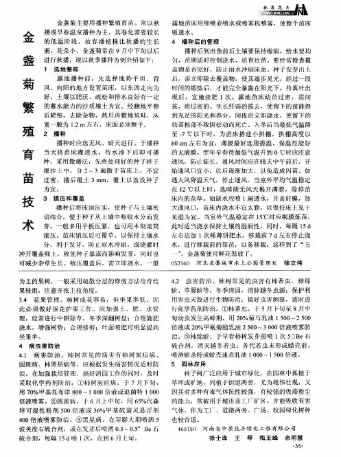 金盏菊繁殖育苗技术
