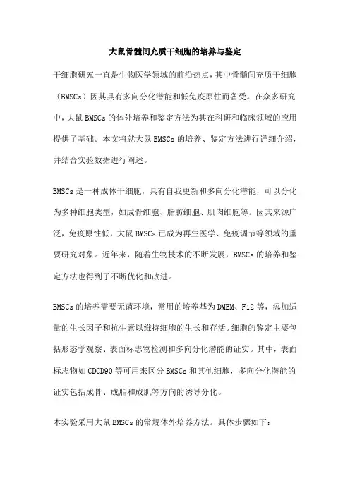 大鼠骨髓间充质干细胞的培养与鉴定