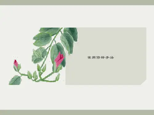 常用的修辞手法