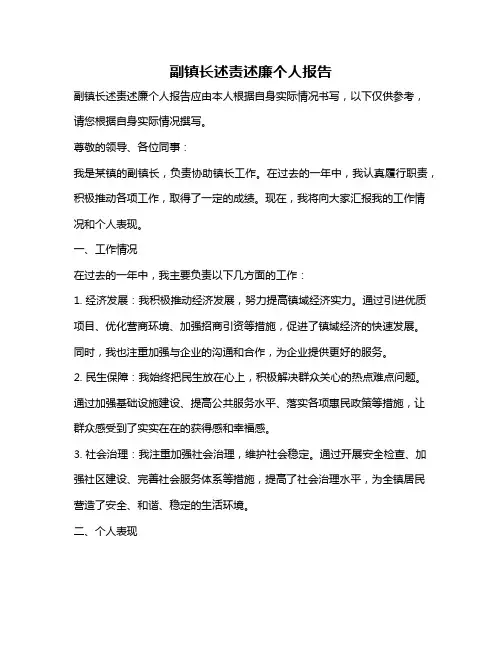 副镇长述责述廉个人报告