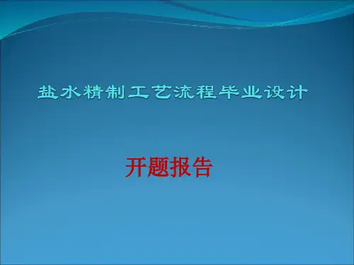 一次盐水精制工艺