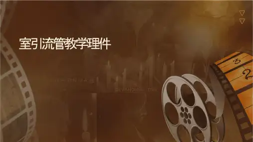 脑室引流管教学护理课件
