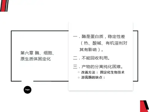 酶细胞原生质体固定化
