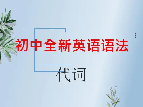 初中全新英语语法代词课件