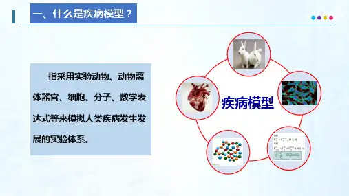 1.6.12.5疾病模型病理生理学