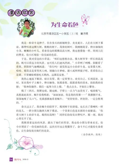 为生命着色