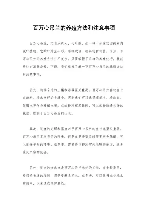百万心吊兰的养殖方法和注意事项