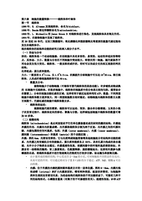第六章  细胞的能量转换要点
