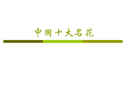 中国十大名花