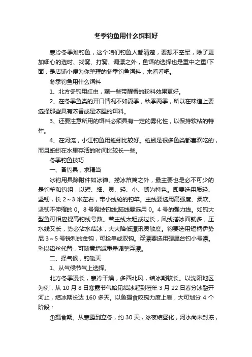 冬季钓鱼用什么饵料好
