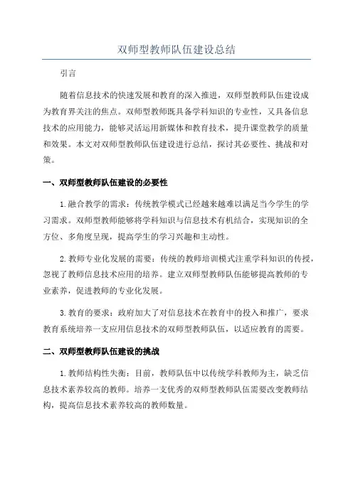 双师型教师队伍建设总结