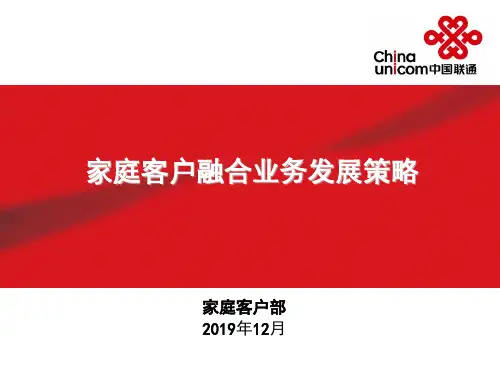 中国联通融合业务家庭市场发展策略PPT资料36页