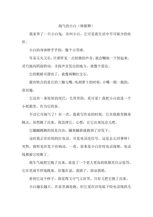 淘气的小白韩紫卿-作文