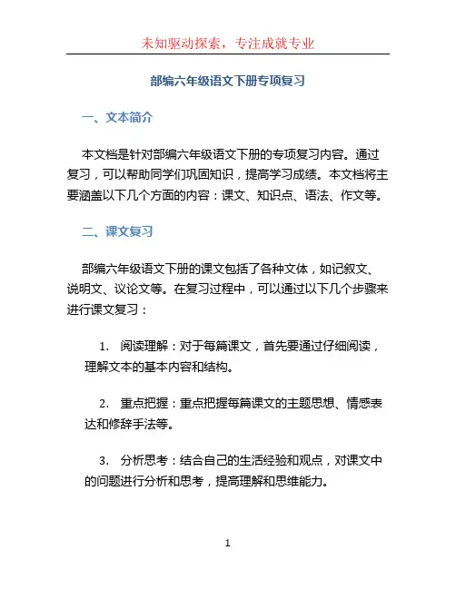 《部编六年级语文下册专项复习》