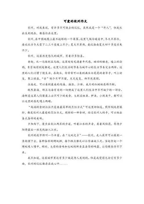 可爱的钦州作文