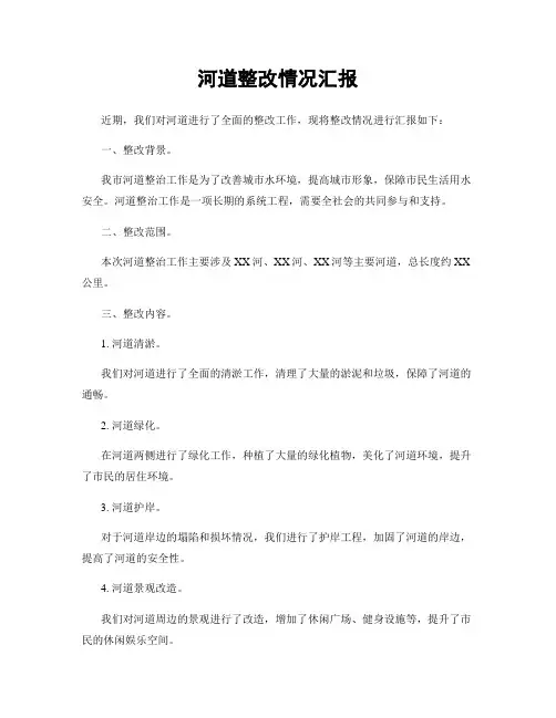 河道整改情况汇报