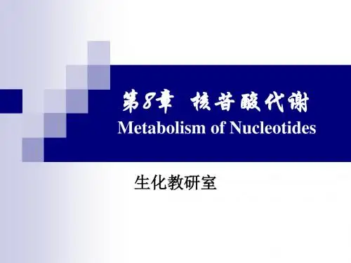 核苷酸代谢(药学)指南